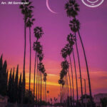 Hollywood Medley Flex 5
