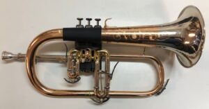 Protections pour Bugle