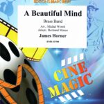 A beautiful mind