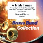 6 Irish tunes