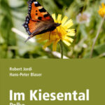 Im Kiesental