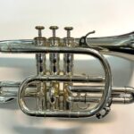 Cornet Sib Courtois