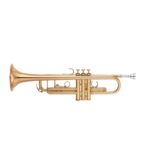 YTR-8335EA – Image 3