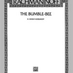 The Bumble-Bee