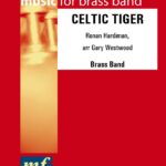 Celtic Tiger