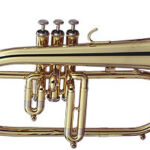 Bugle Getzen 895-L
