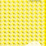 Bloc de portées format A4