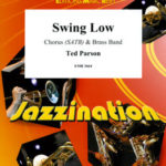 Swing Low