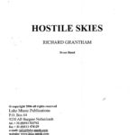 Hostile Skies