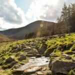 The Rocky Road to Dublin (Concert Band)