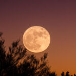 Song to the Moon